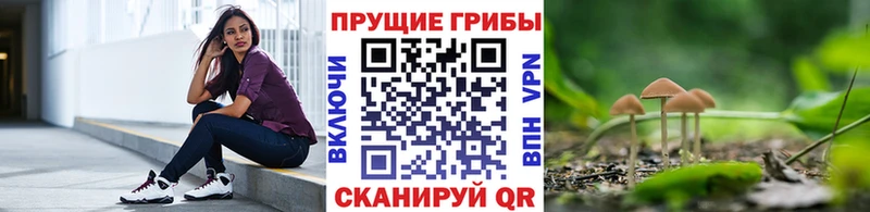 Галлюциногенные грибы прущие грибы где найти Тарко-Сале